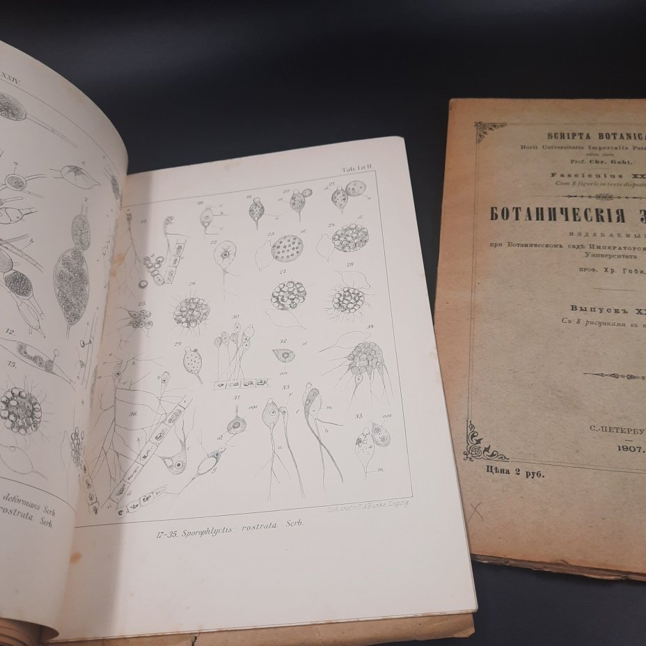 Бекетов А.Н., Гоби Хр. "Ботанические записки, издаваемые при Ботаническом саде Императорского Санкт-Петербургского университета", выпуски 24 и 25