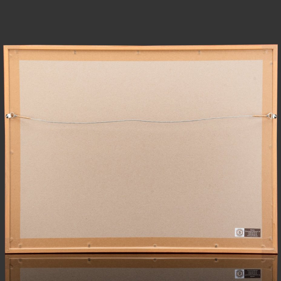 Гравюра "Карта Дю-Бас-Рин (Dept. du Bas Rhin)" в раме, автор Виктор Левассер (Victor Levasseur)