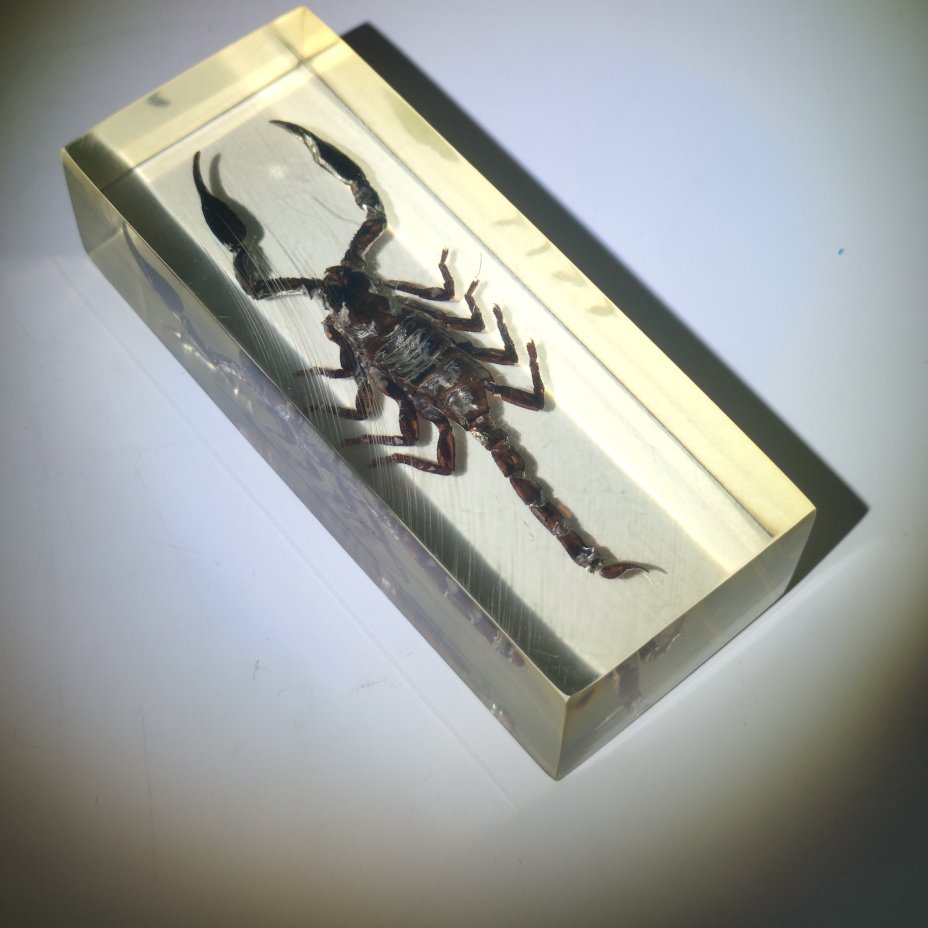 Экземпляр коллекционный "Скорпион", эпоксидная смола