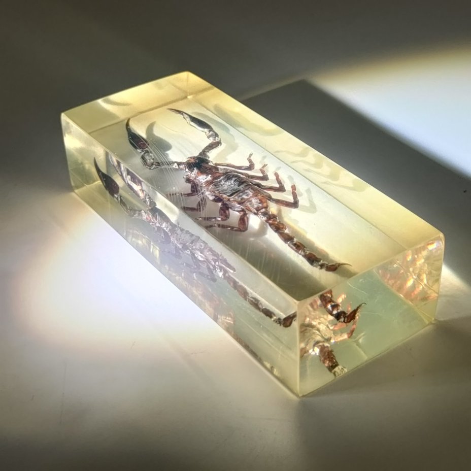 Экземпляр коллекционный "Скорпион", эпоксидная смола