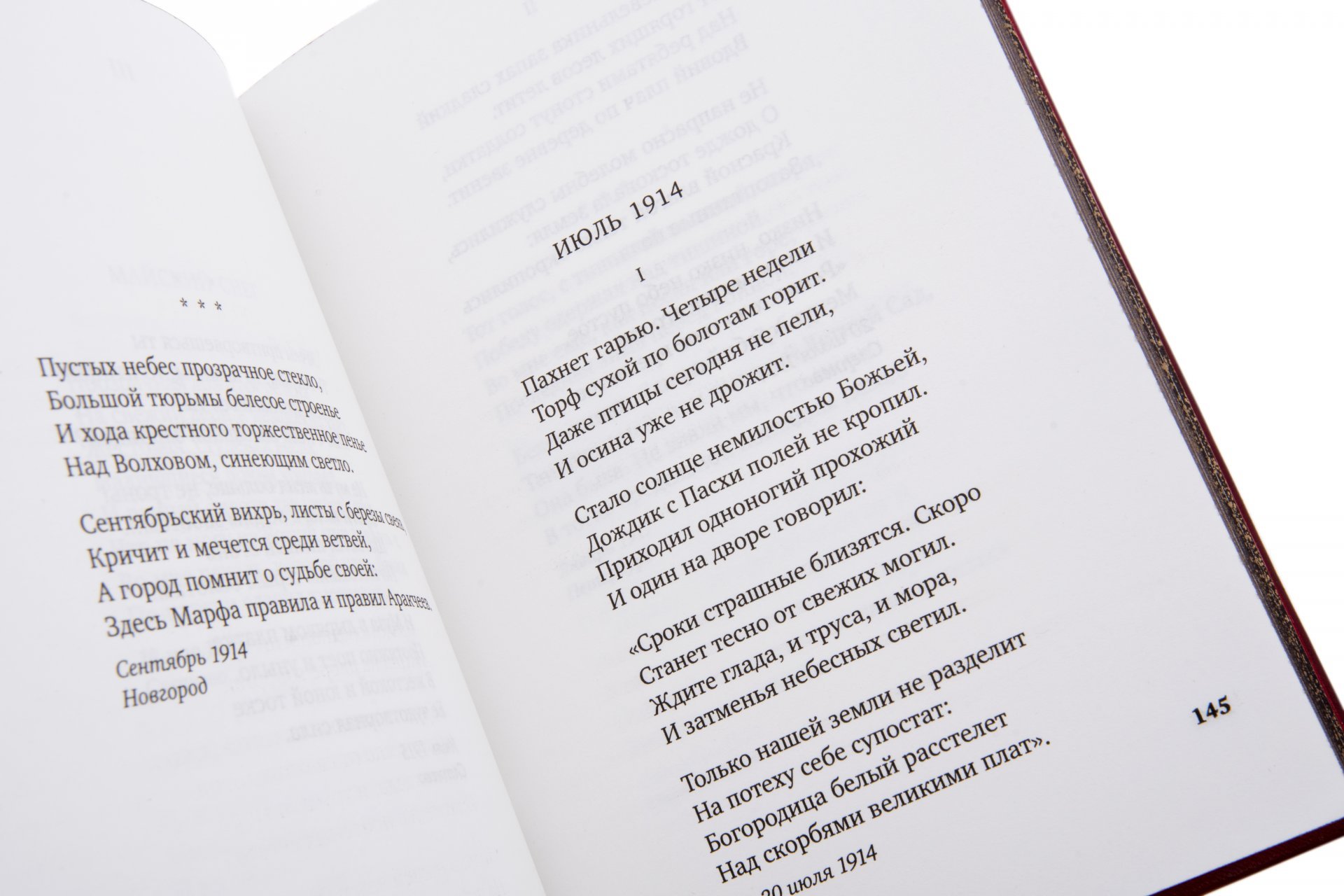 Книга Анна Ахматова "В то время я гостила на земле" подарочное издание, издательство "Азбука", кожаный переплет, авторская ручная работа, Россия, Издательство «Азбука»