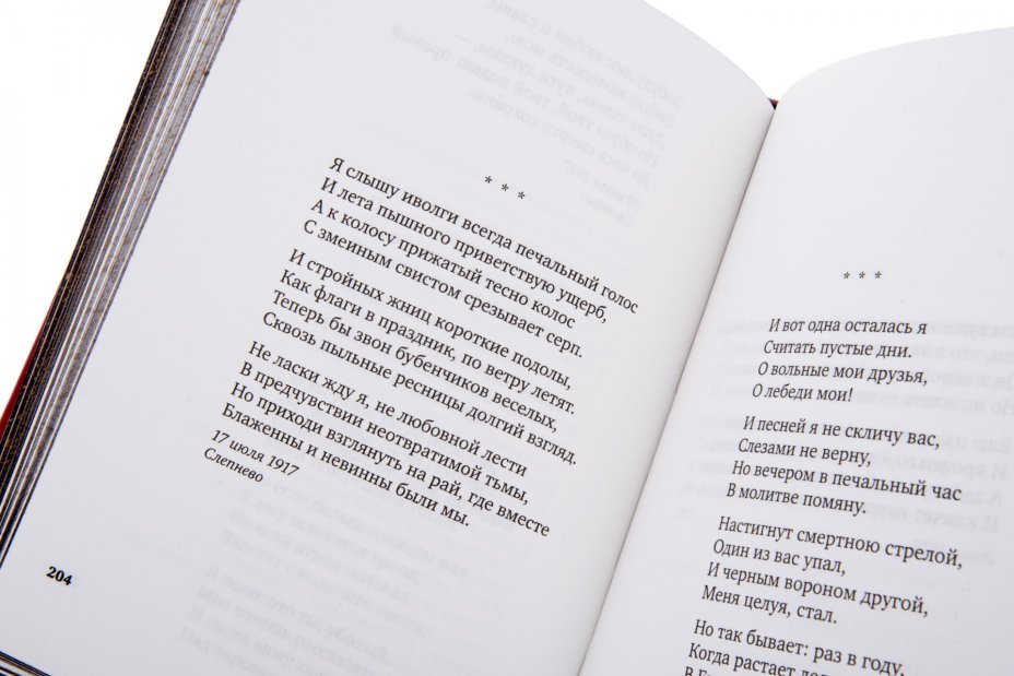 Книга Анна Ахматова "В то время я гостила на земле" подарочное издание, издательство "Азбука", кожаный переплет, авторская ручная работа, Россия, Издательство «Азбука»