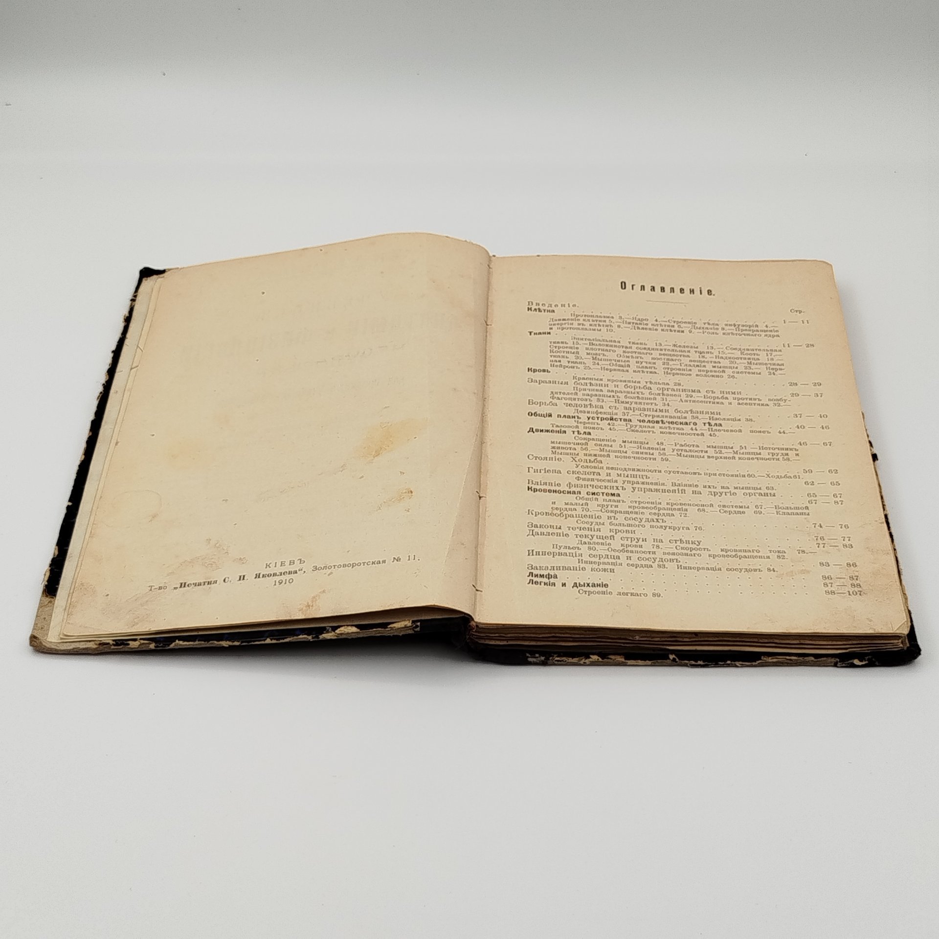 Завьялов В.В. «Учебник анатомии и физиологии человека для средних учебных заведений», издание Пироговского товарищества