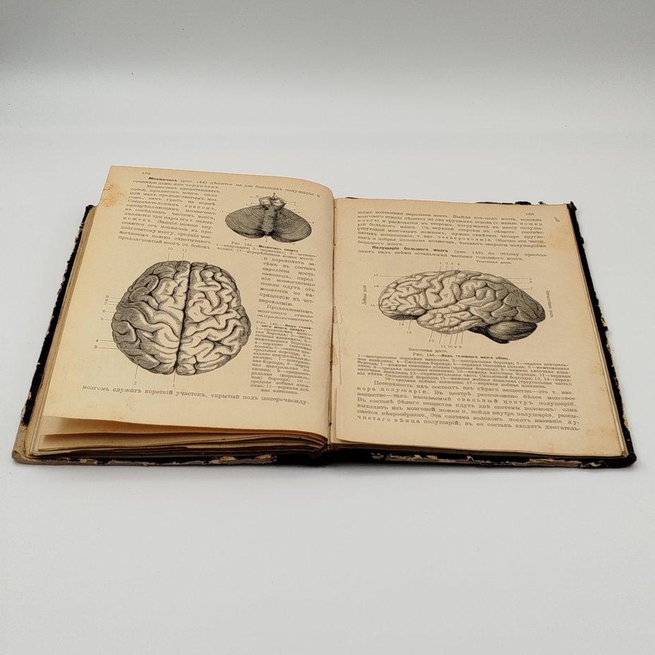 Завьялов В.В. «Учебник анатомии и физиологии человека для средних учебных заведений», издание Пироговского товарищества