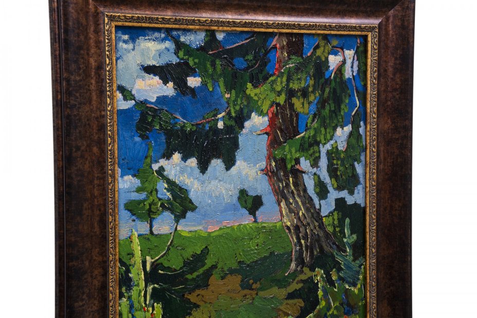 Картина «Сосна», холст, масло, рама, художник Иванов Федор Васильевич, СССР, июнь, 1953 г.