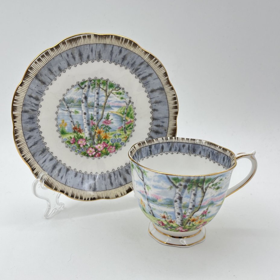 Пара чайная "Silver Birch" с пейзажным декором, фарфор, деколь, золочение, Royal Albert, Великобритания, 1950-1980 гг.