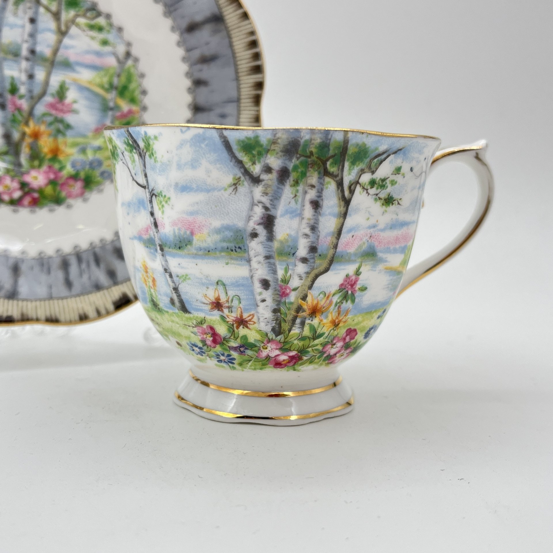 Пара чайная "Silver Birch" с пейзажным декором, фарфор, деколь, золочение, Royal Albert, Великобритания, 1950-1980 гг.