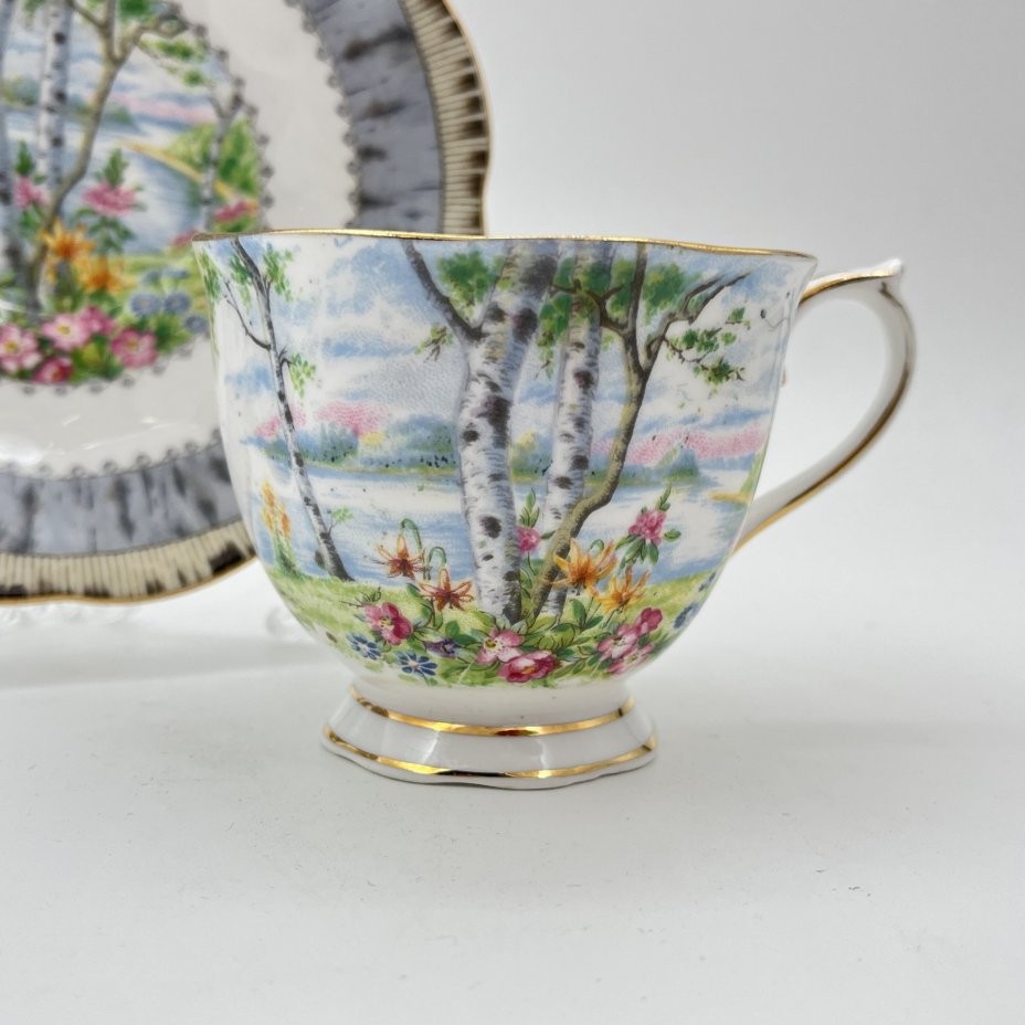 Пара чайная "Silver Birch" с пейзажным декором, Royal Albert