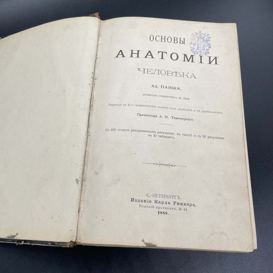 Книга А. Панш "Основы Анатомии человека" / Издание Карла Риккера
