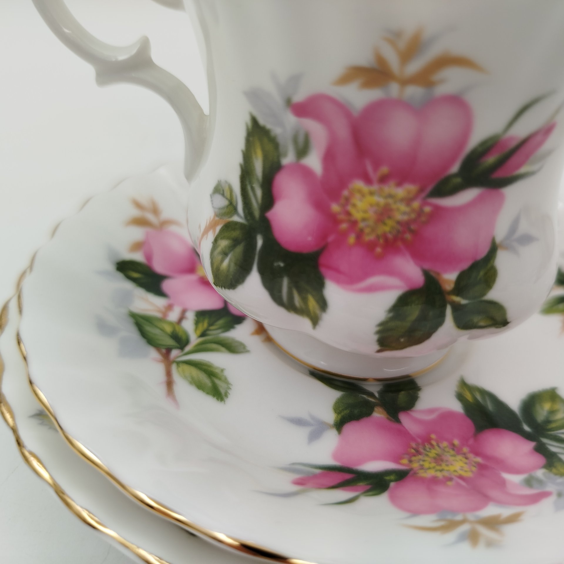 Набор кофейных пар на 2 персоны (дуэт) с ярким цветочным декором " Prairie Rose", Royal Albert