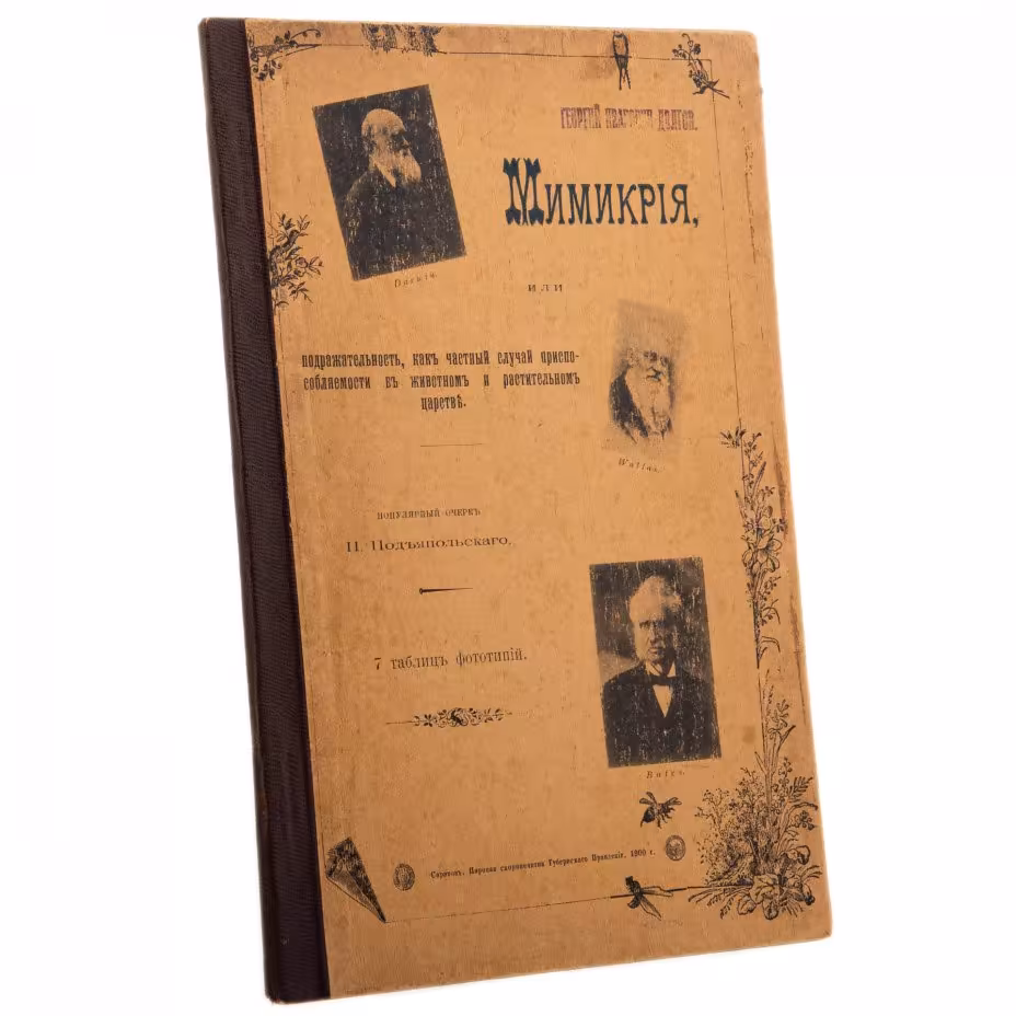 П. Подъяпольский "Мимикрия", бумага, печать, паровая скоропечатня Губернского Правления, Российская империя, 1900 г., Паровая скоропечатня Губернского Правления