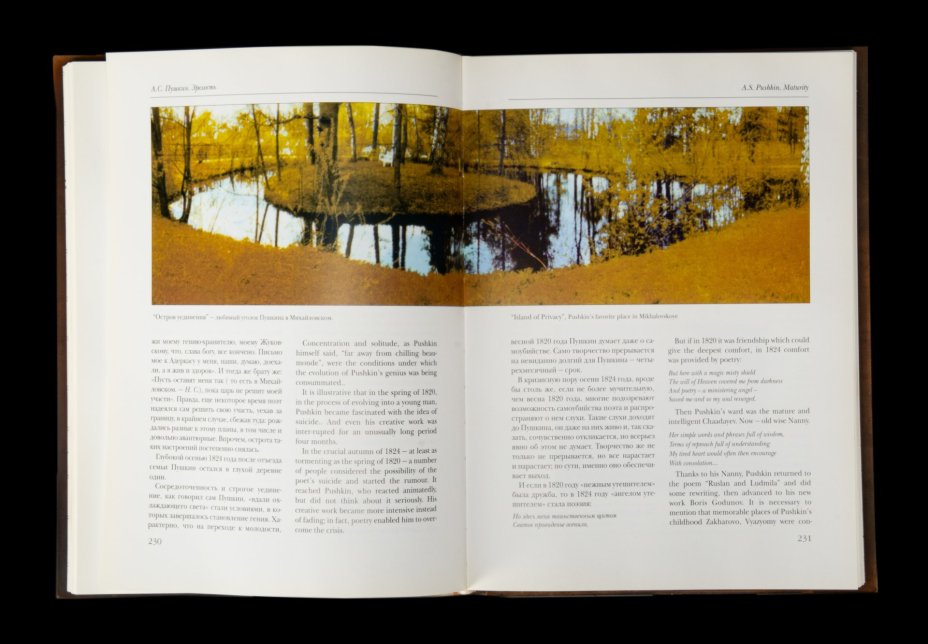 Издание подарочное «А.С. Пушкин», автор Н.Н. Скатов, Издательство «Александр Принт»