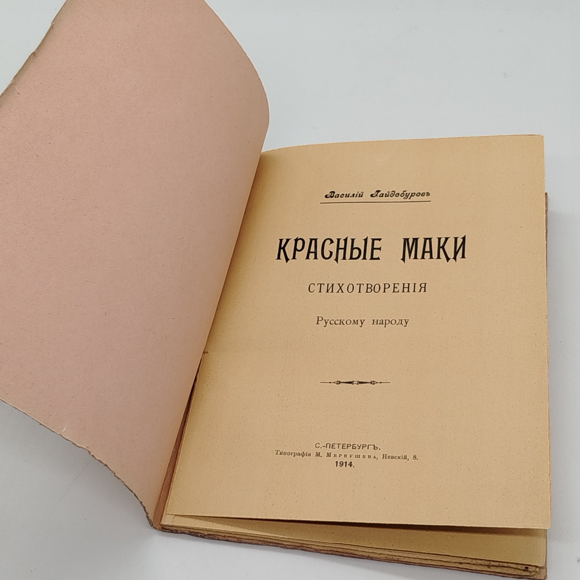 Гайдебуров В. "Стихотворения русскому народу", Типография М.Л. Меркушева