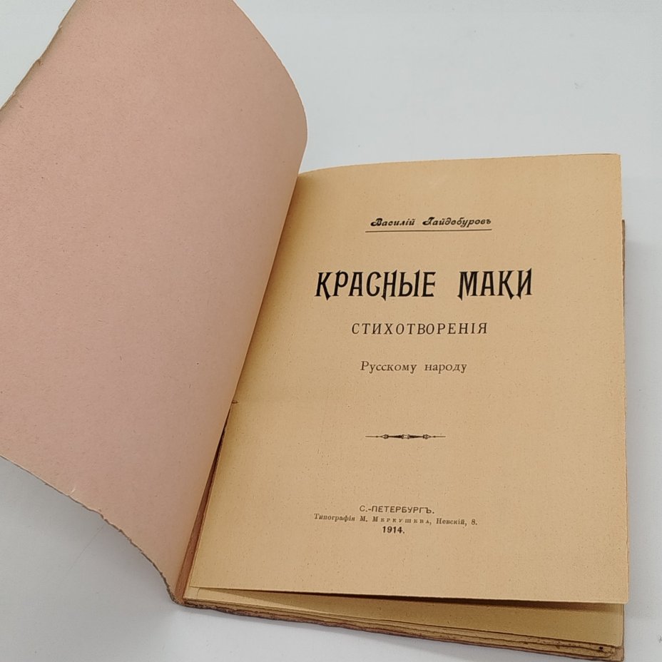 Гайдебуров В. "Стихотворения русскому народу", Типография М.Л. Меркушева
