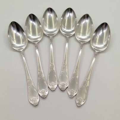 Набор из 6-ти столовых ложек с растительным декором