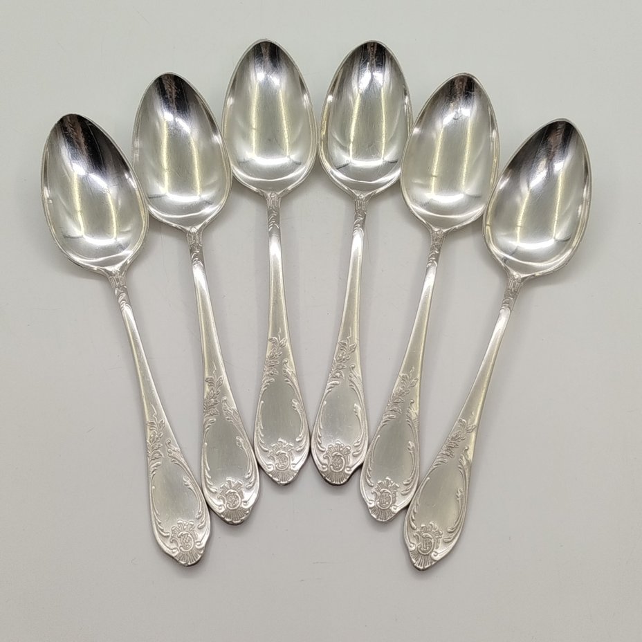 Набор из 6-ти столовых ложек с растительным декором