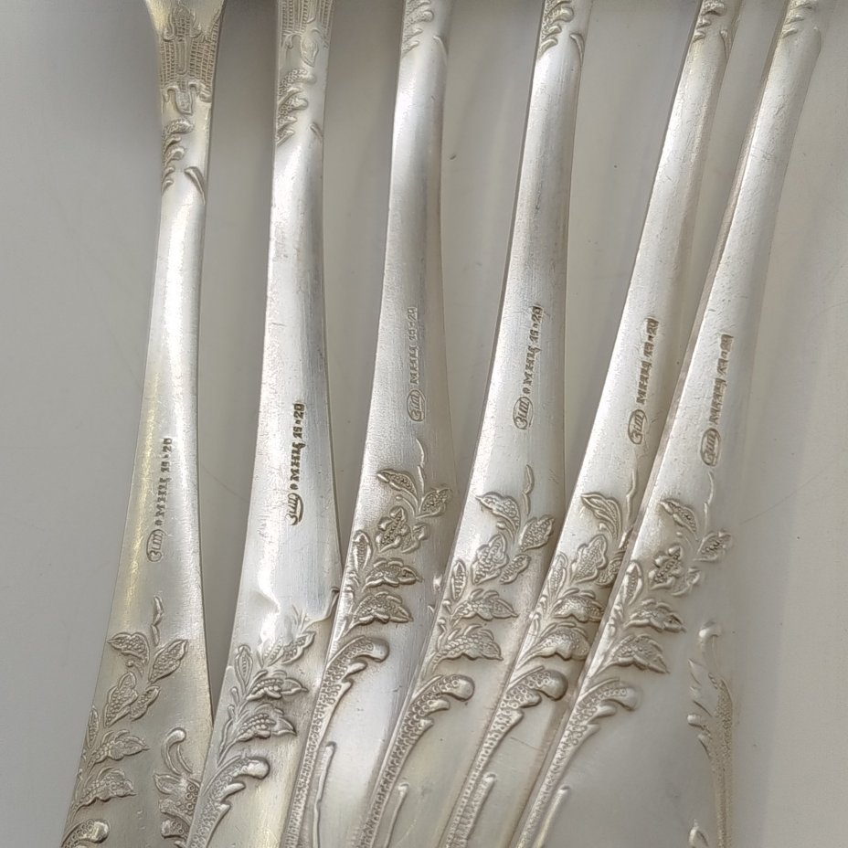 Набор из 6-ти столовых ложек с растительным декором