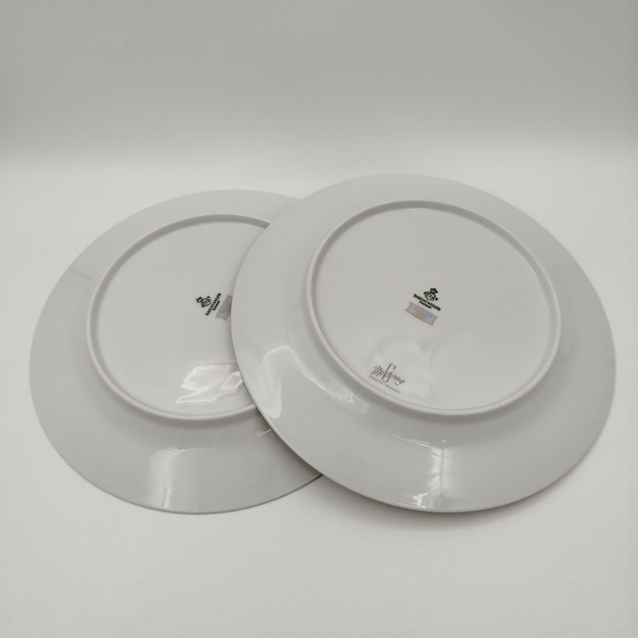 Набор тарелок для горячих блюд с растительным декором на 5 персон, серия "Charleroi-Bruxelles", фарфор, золочение, Tirschenreuth, Германия, 1969-1990 гг.