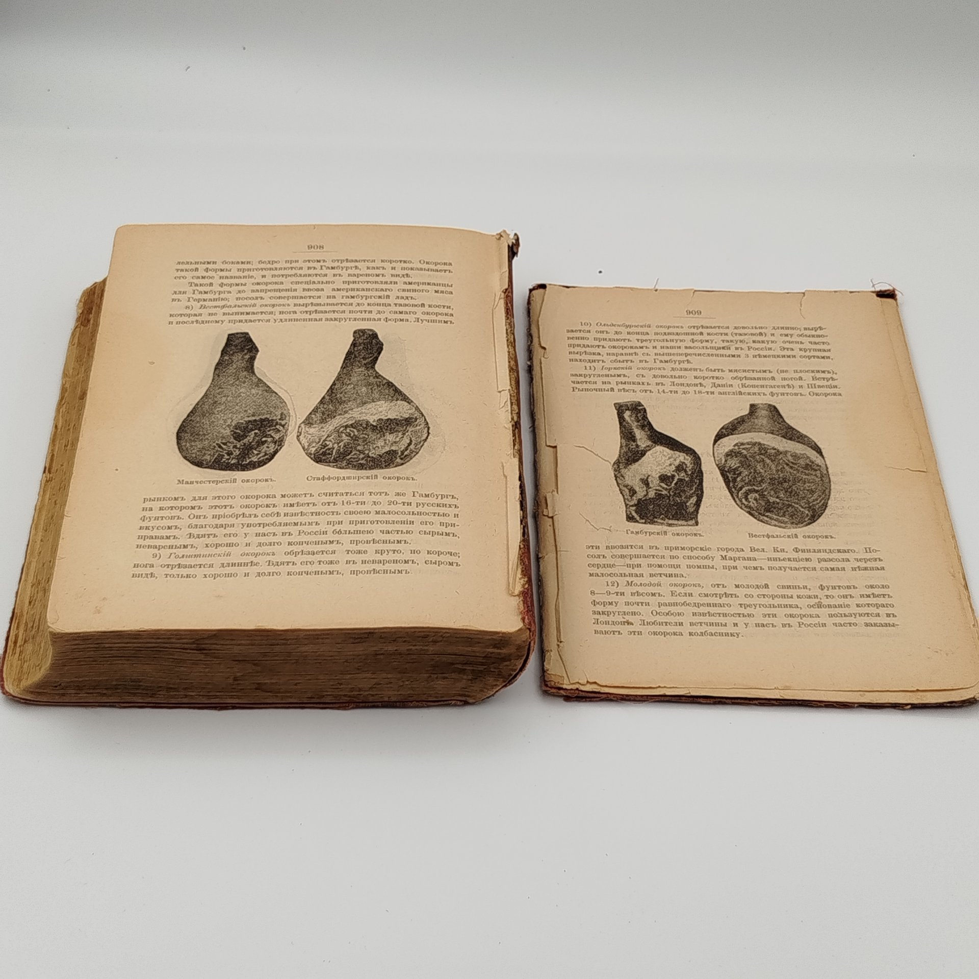 Александрова-Игнатьева П.П. "Практические основы кулинарного искусства", с приложением курса мясоведения Игнатьева М.А., бумага, печать, коленкор, тиснение, Типография товарищества И.Д. Сытина, Российская империя, 1908 г.