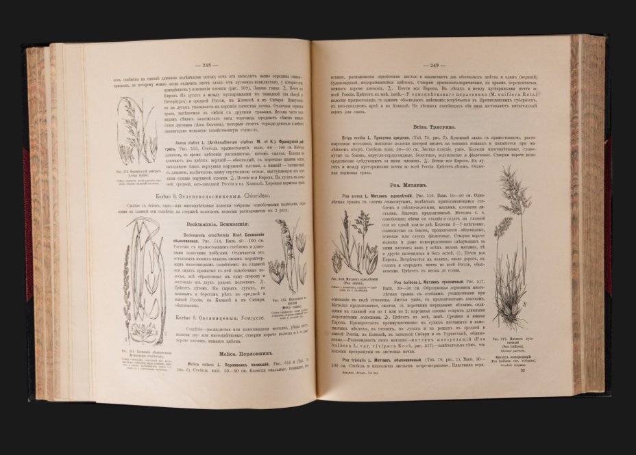 Монтеверде А.А. "Ботанический атлас. Описание и изображение растений русской флоры", издание 3-е, бумага, печать, полукожаный переплет, тиснение, обрез "павлинье перо", Издание А.Ф. Девриена