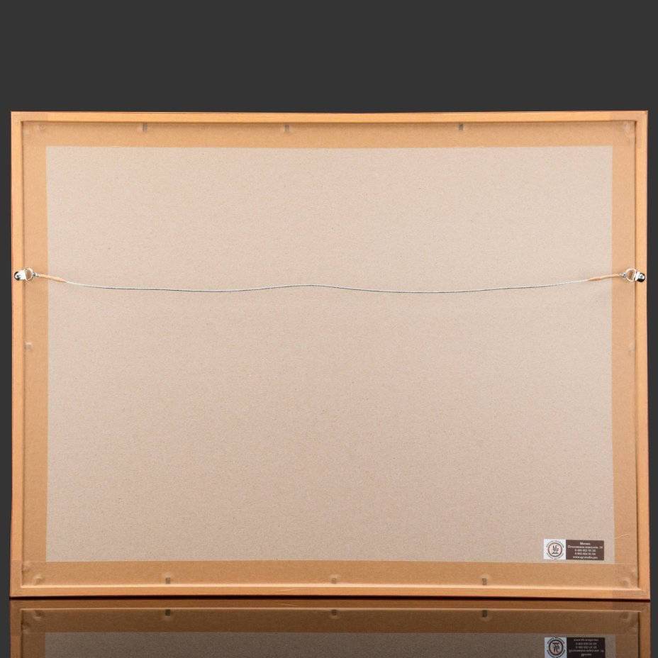 Гравюра "Карта Южной Америки (Amérique Méridionale)" в раме, автор Виктор Левассер (Victor Levasseur), иллюстрации художника Раймона Бонера