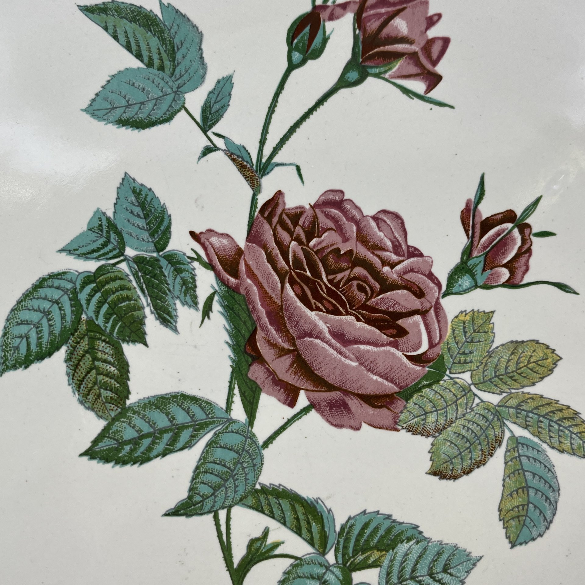 Блюдо с ручками, украшенное декором в виде роз, Salins, фаянс, деколь, крытье, золочение, Франция, 1960-1980 гг.