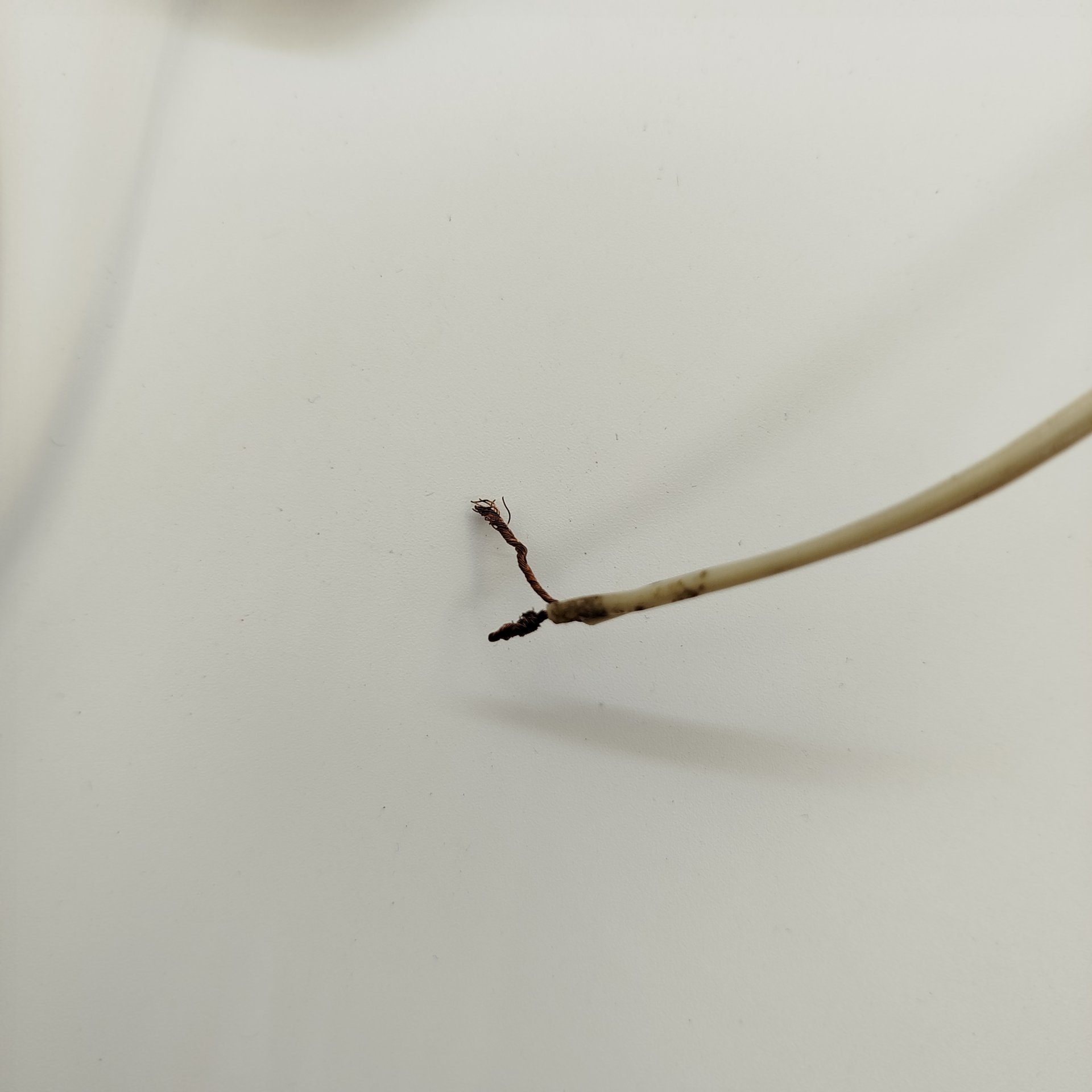 Бра однорожковое с декором в виде растительных элементов, латунь, пластик, СССР, 1980-1990 гг.