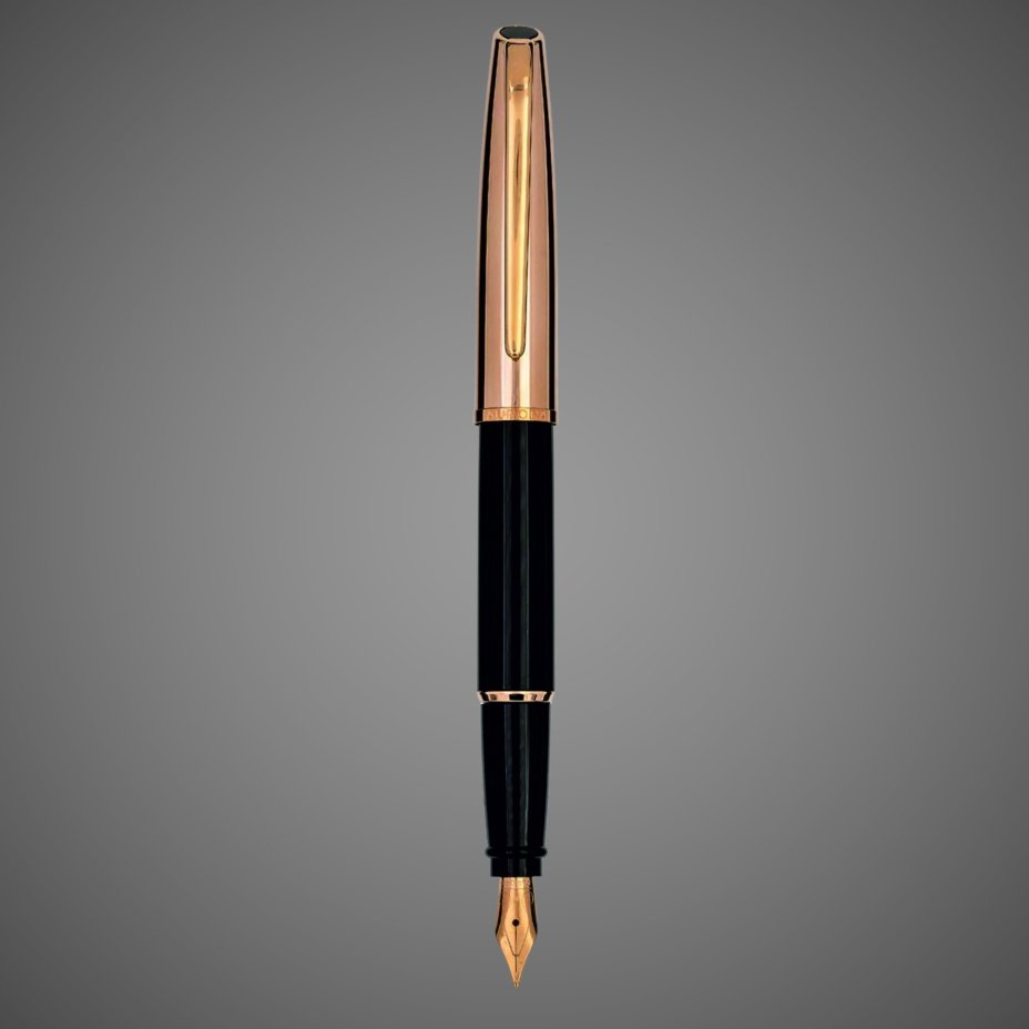 Перьевая ручка Aurora Style Metal Black PGT, перо - F, в подарочной коробке, Драгметаллы: позолота, позолота, смола