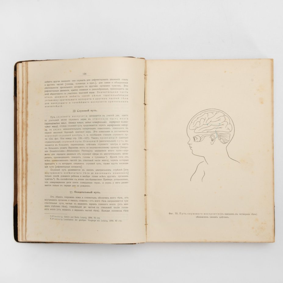 Книга Профессора И.А. Сикорского "Всеобщая Психология с физиогномикой в иллюстрированном изложении", Издание С.В. Кульженко