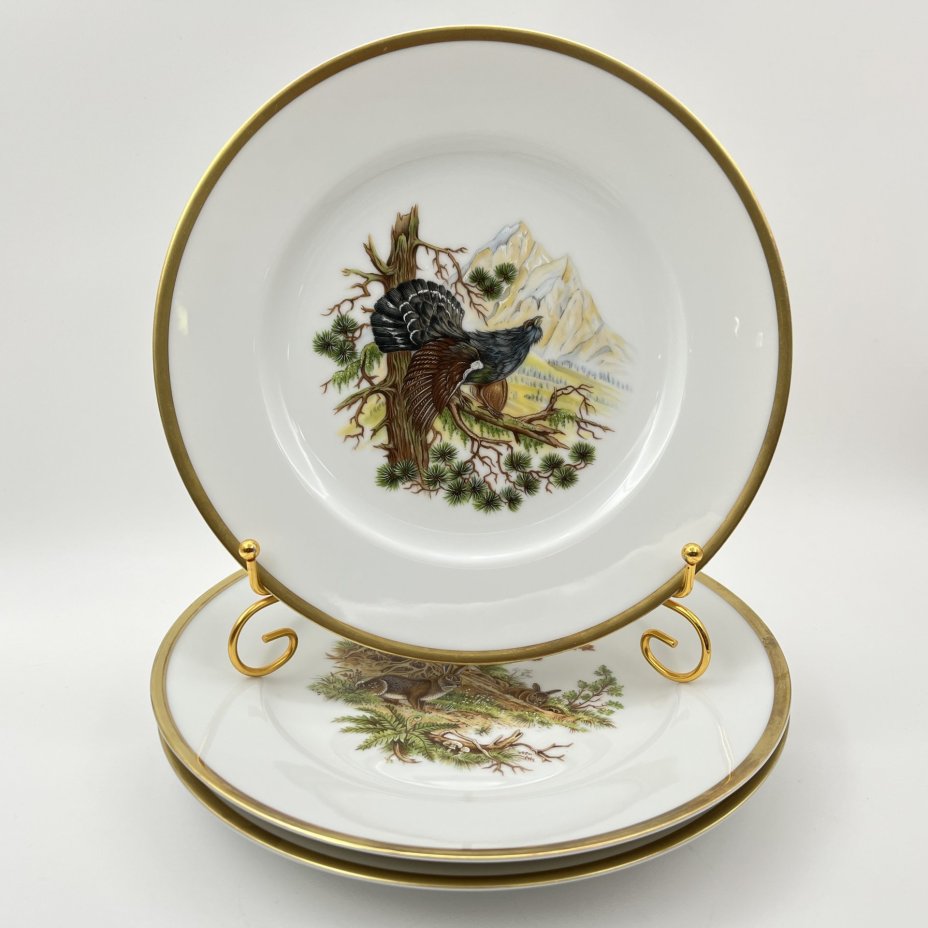 Набор тарелок на 5 персон, украшенных изображением лесных обитателей