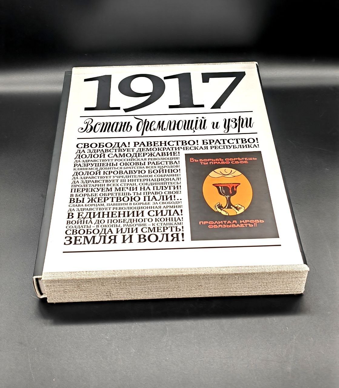 Книга "1917. Встань дремлющий и узри"