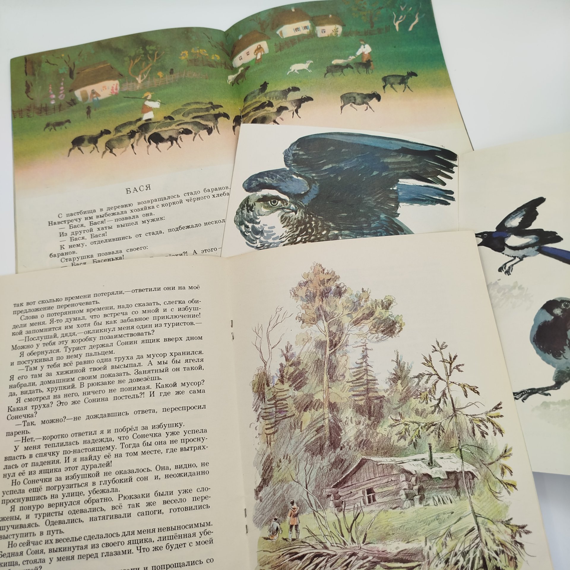 Набор из 5-ти детских книг (Б. Шергин "Собирай по ягодке - наберёшь кузовок", В. Токмаков "Лесная соня", М. Пришвин "Гости", К. Ушинский "Как рубашка в поле выросла", П. Власов "Орлик"), Издательство "Малыш"