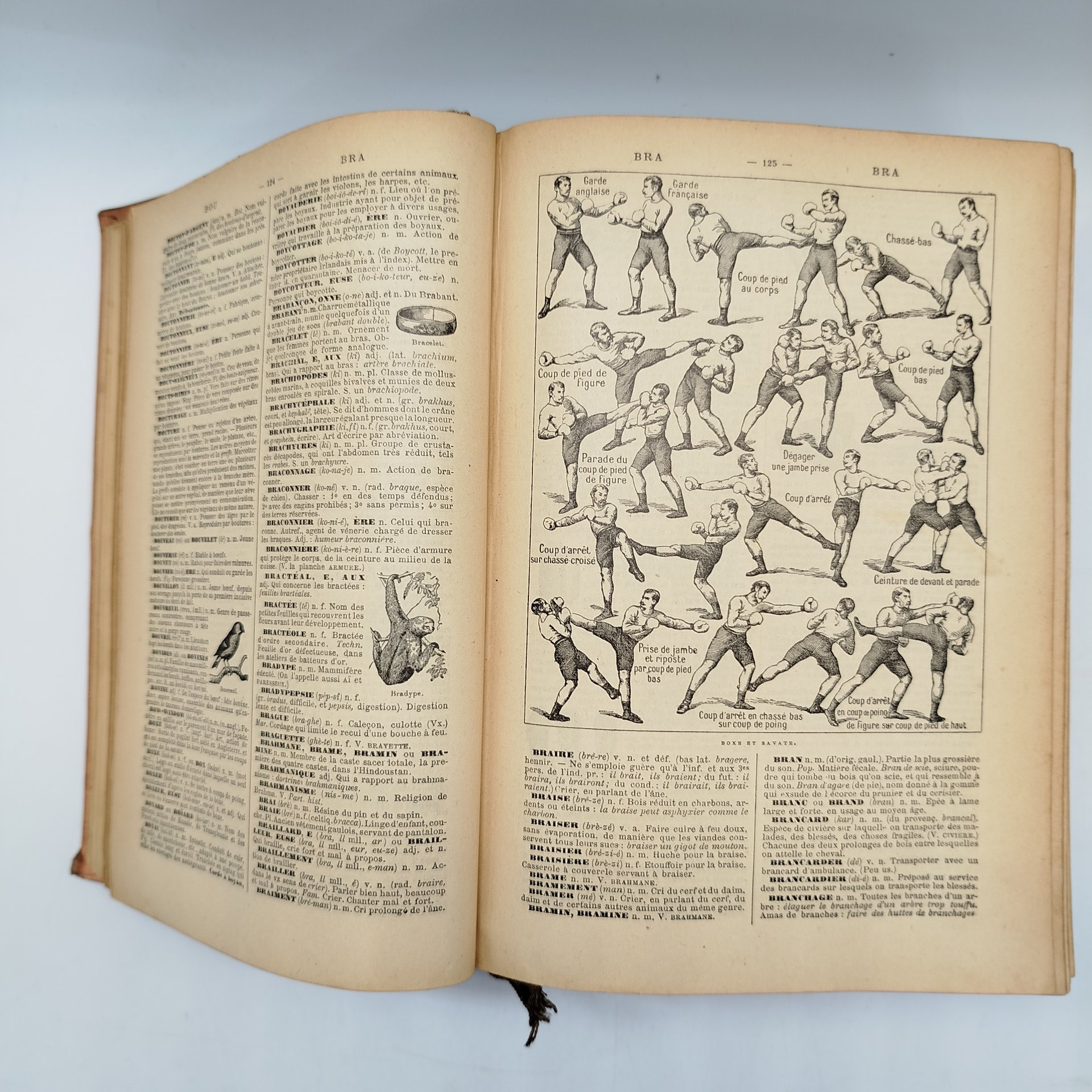 Словарь энциклопедический "Petit Larousse illustré" на французском языке