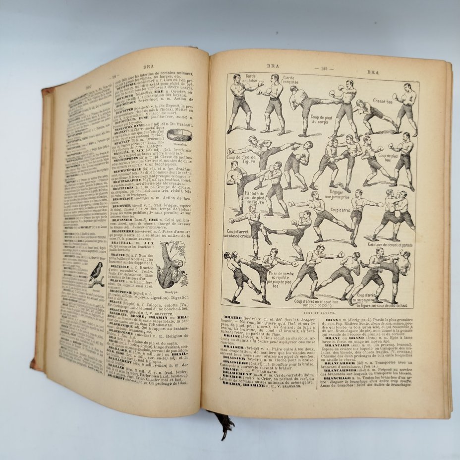 Словарь энциклопедический "Petit Larousse illustré" на французском языке