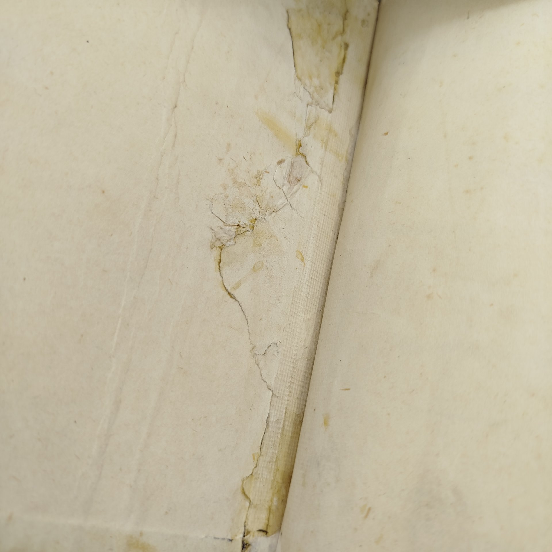 Книга "Новый Завет Господа нашего Иисуса Христа", бумага, тиснение, золочение, Издательство «Синодальная типография», Российская империя, 1907 г.