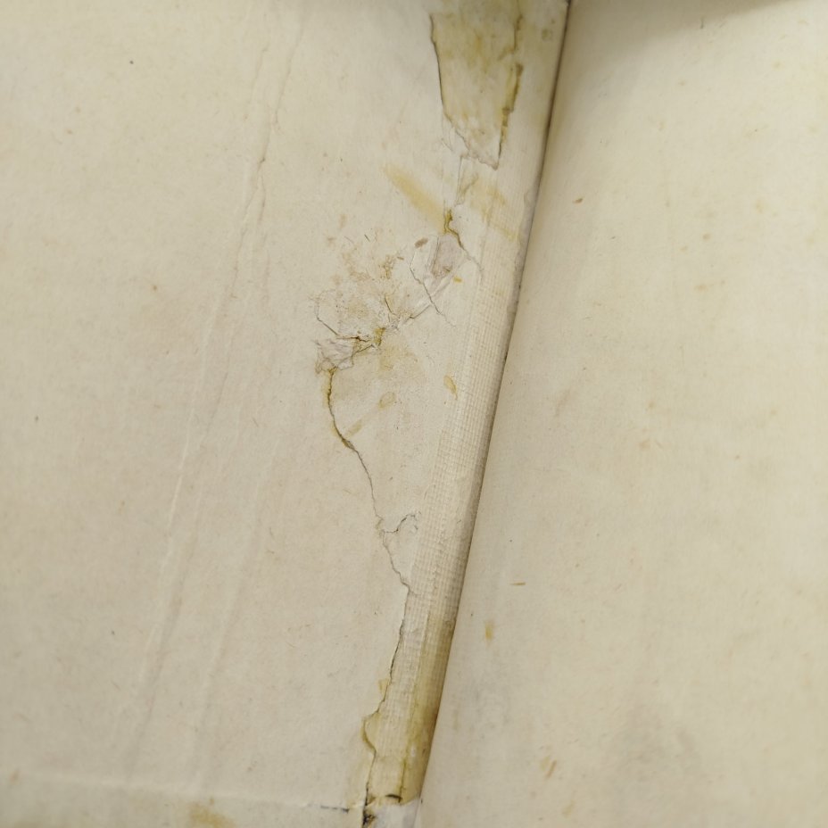 Книга "Новый Завет Господа нашего Иисуса Христа", бумага, тиснение, золочение, Издательство «Синодальная типография», Российская империя, 1907 г.