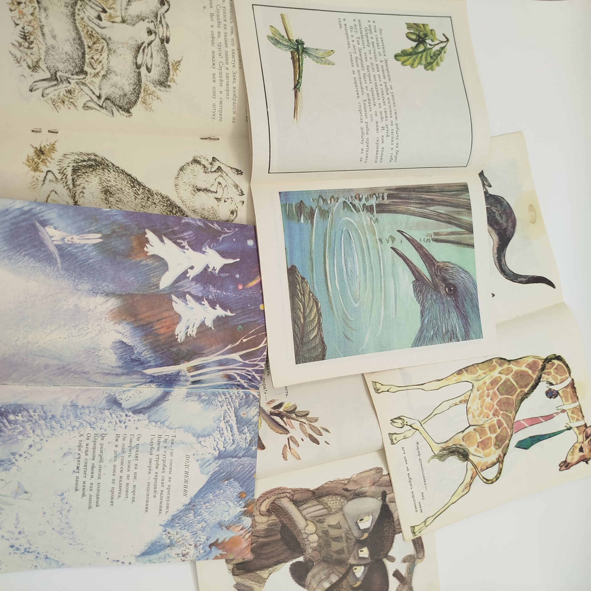 Набор из 5-ти детских книг из серии "Мои первые книжки" (О. Вациетис "Где живёшь ты, сон?", Д.Н. Мамин-Сибиряк "Сказка про храброго зайца", В. Бианки "Рыбий дом", В. Маяковский "Что ни страница, - то слон, то львица", И. Токмакова "Вечерняя сказка"), бумага, печать, Издательство «Детская литература» (Детгиз), СССР, 1981-1991 гг.