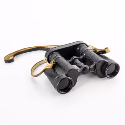 Бинокль полевой в кофре Silvamar 6х30, Carl Zeiss