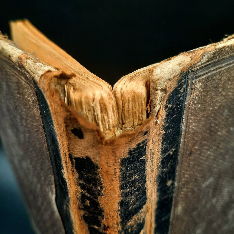 Лермонтов М.Ю. "Полное собрание сочинений", бумага, печать, кожаный корешок, Типо-литография В.В. Комарова, Российская империя, 1891 г.