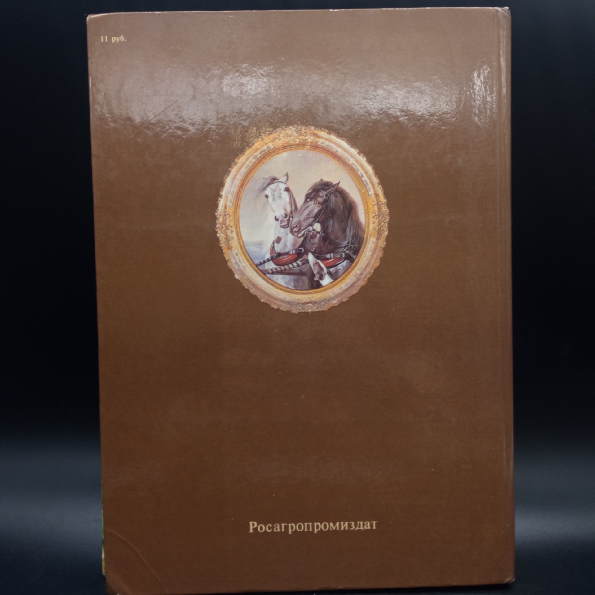 Книга "Коневодство и коннозаводство России", Камбегов Б.Д., Росагропромиздат, бумага, печать, СССР, 1988 г.