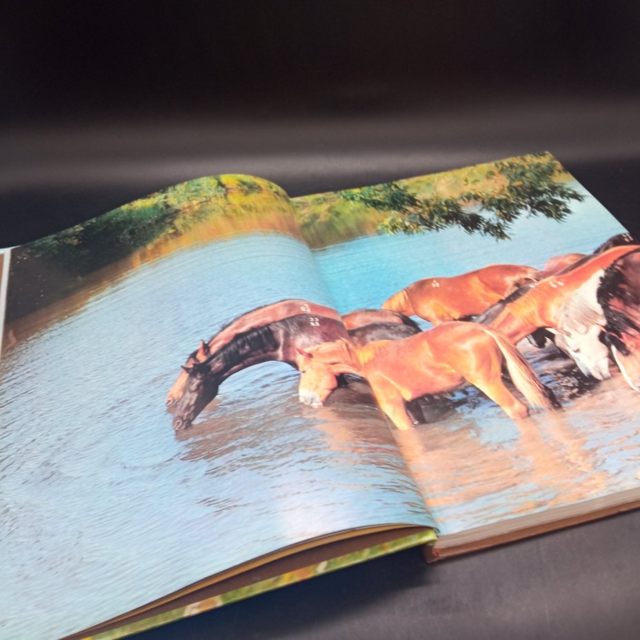 Книга "Коневодство и коннозаводство России", Камбегов Б.Д., Росагропромиздат, бумага, печать, СССР, 1988 г.