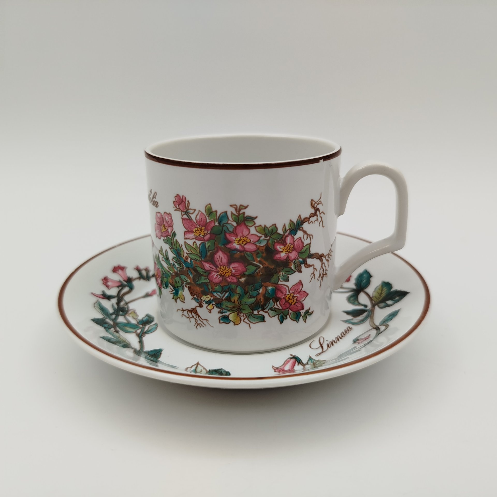 Чайно-кофейная пара "Линнея северная" (Linnaea borealis), фаянс, деколь, Villeroy & Boch, Villeroy & Boch
