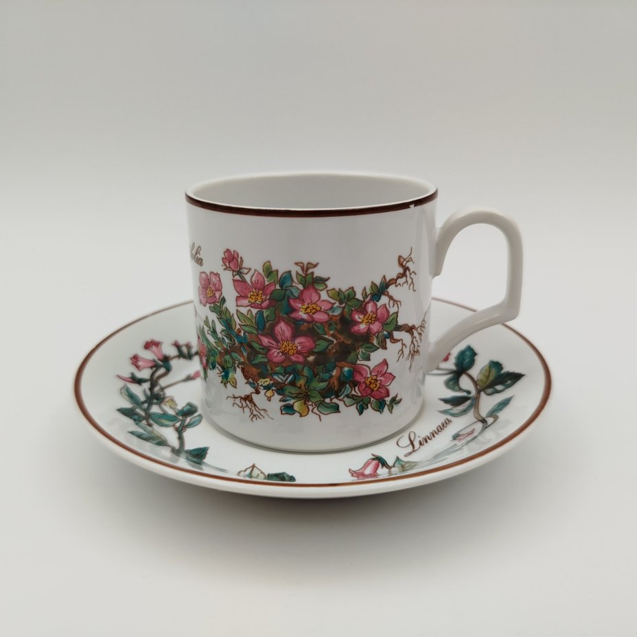 Чайно-кофейная пара "Линнея северная" (Linnaea borealis), фаянс, деколь, Villeroy & Boch, Villeroy & Boch