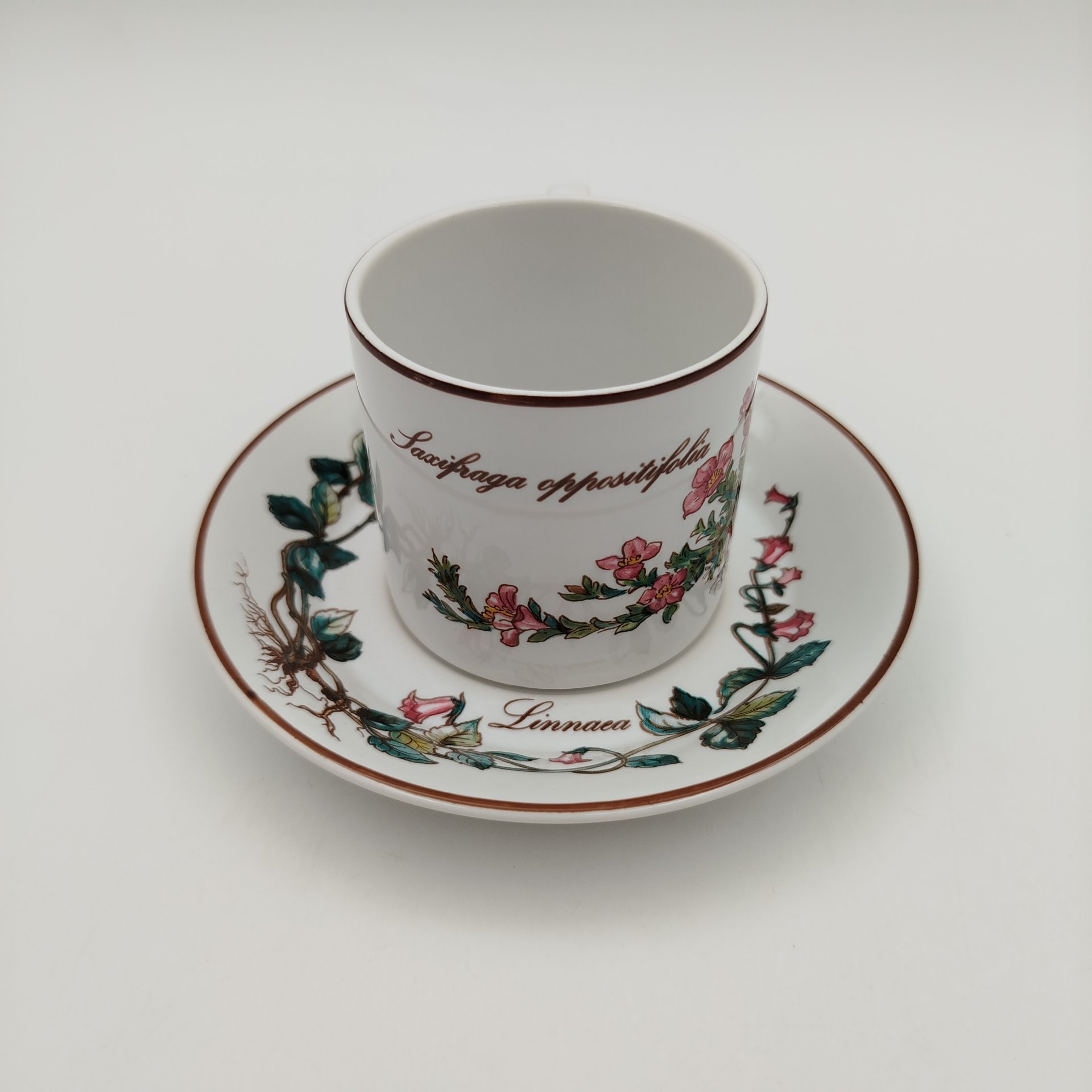 Чайно-кофейная пара "Линнея северная" (Linnaea borealis), фаянс, деколь, Villeroy & Boch, Villeroy & Boch
