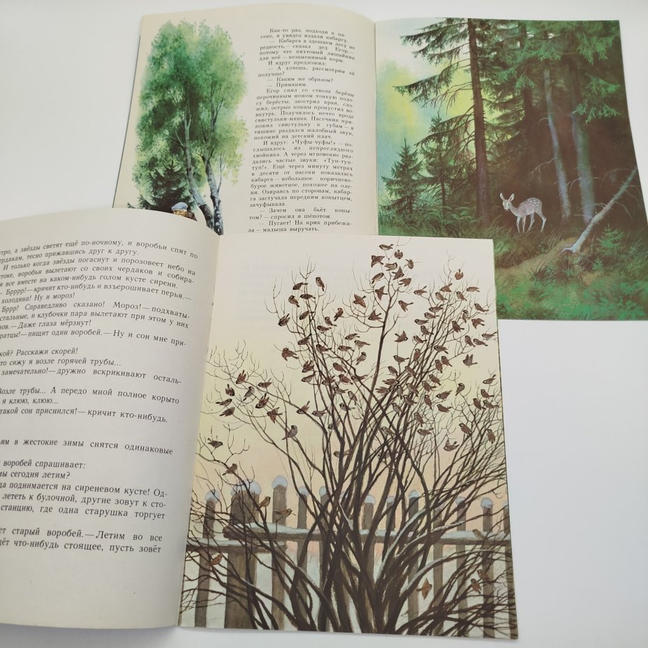 Набор из 5-ти детских книг (Н. Кончаловская "Дело в шляпе", И. Акимушкин "Жил-был медведь", Ю. Казаков "Жадный Чик и кот Васька", М. Деменок "Здравствуй, белолапый!", К. Паустовский "Прощание с летом"), Издательство "Малыш"