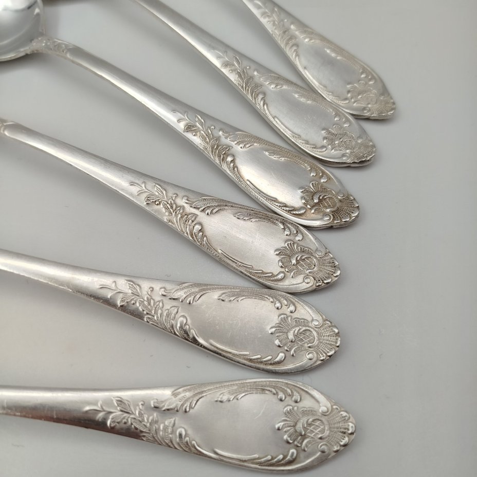 Набор из шести столовых ложек с растительным декором