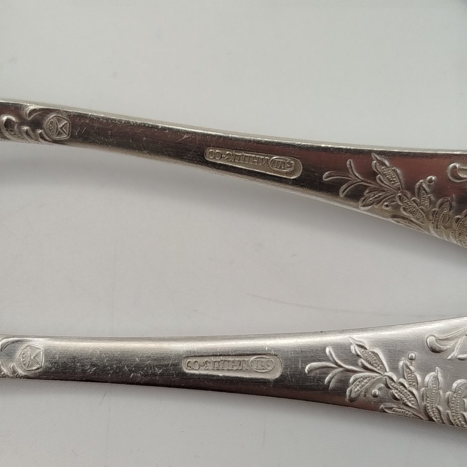 Набор из шести столовых ложек с растительным декором