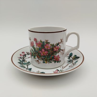 Чайно-кофейная пара "Линнея северная" (Linnaea borealis), фаянс, деколь, Villeroy & Boch, Villeroy & Boch
