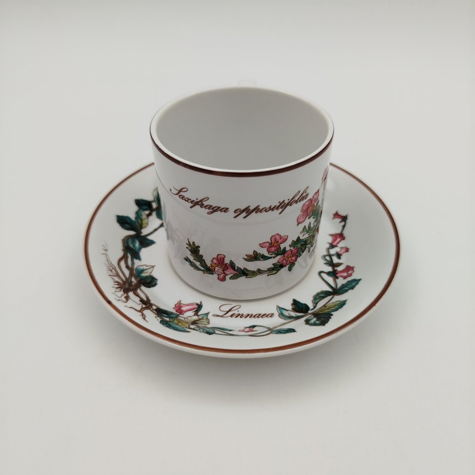 Чайно-кофейная пара "Линнея северная" (Linnaea borealis), фаянс, деколь, Villeroy & Boch, Villeroy & Boch