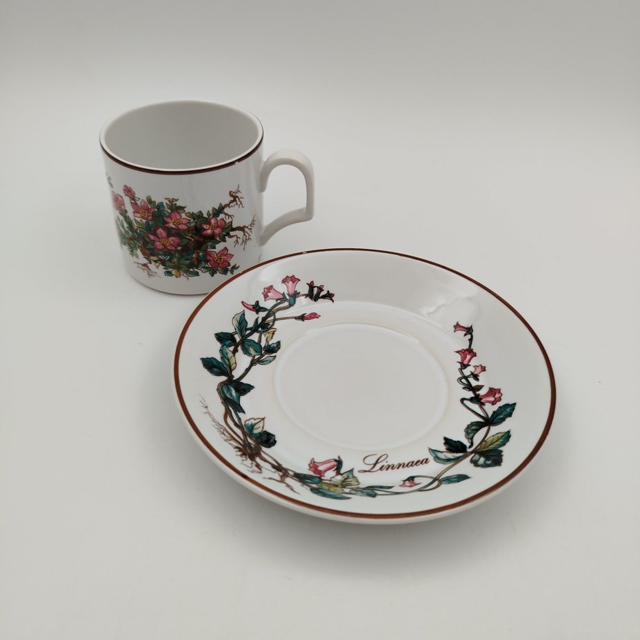 Чайно-кофейная пара "Линнея северная" (Linnaea borealis), фаянс, деколь, Villeroy & Boch, Villeroy & Boch